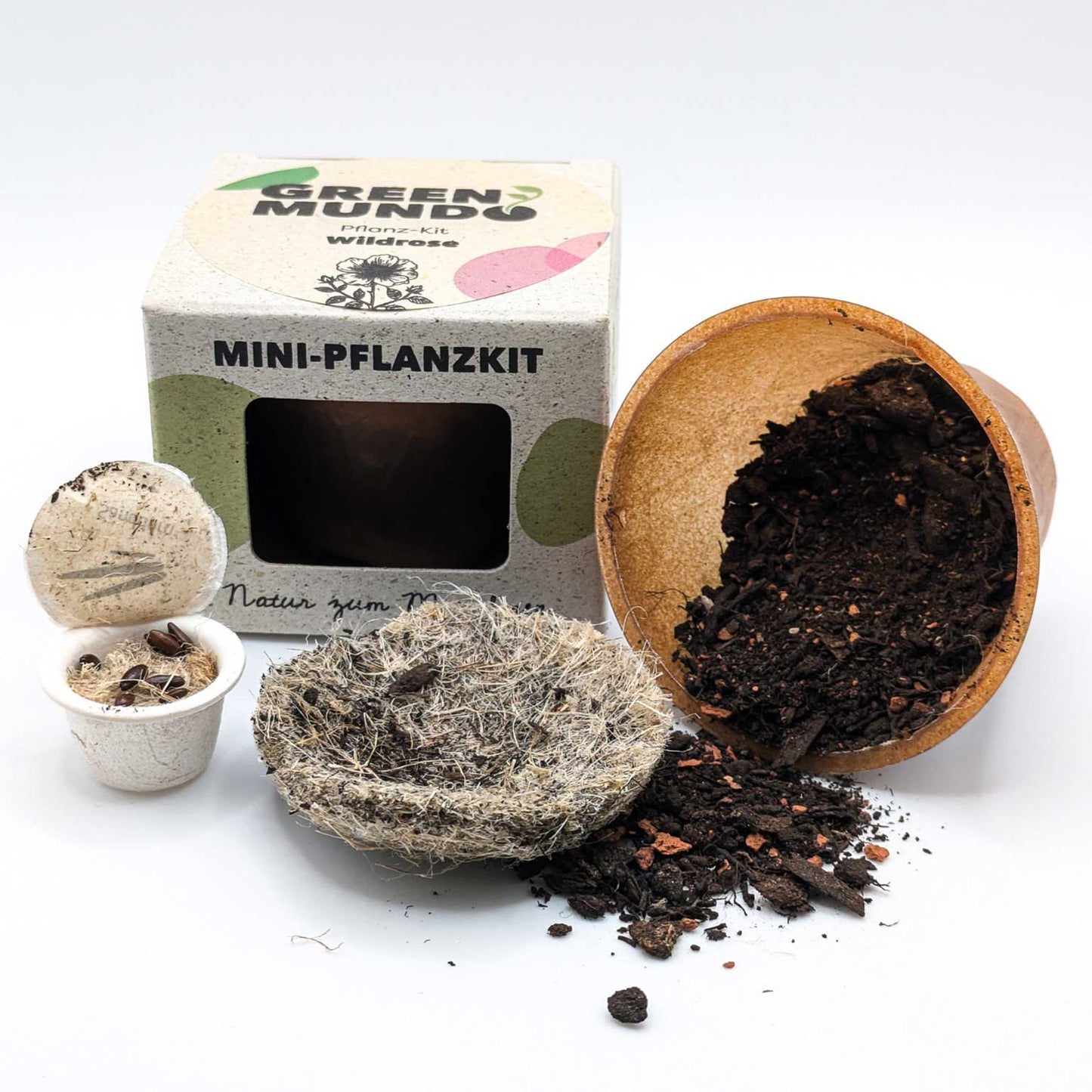 GREEN MUNDO Pflanzkit | Wildrose – robust & vielseitig