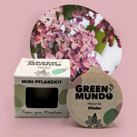 GREEN MUNDO Pflanzkit | Flieder  – Baum für Bienen & Klima