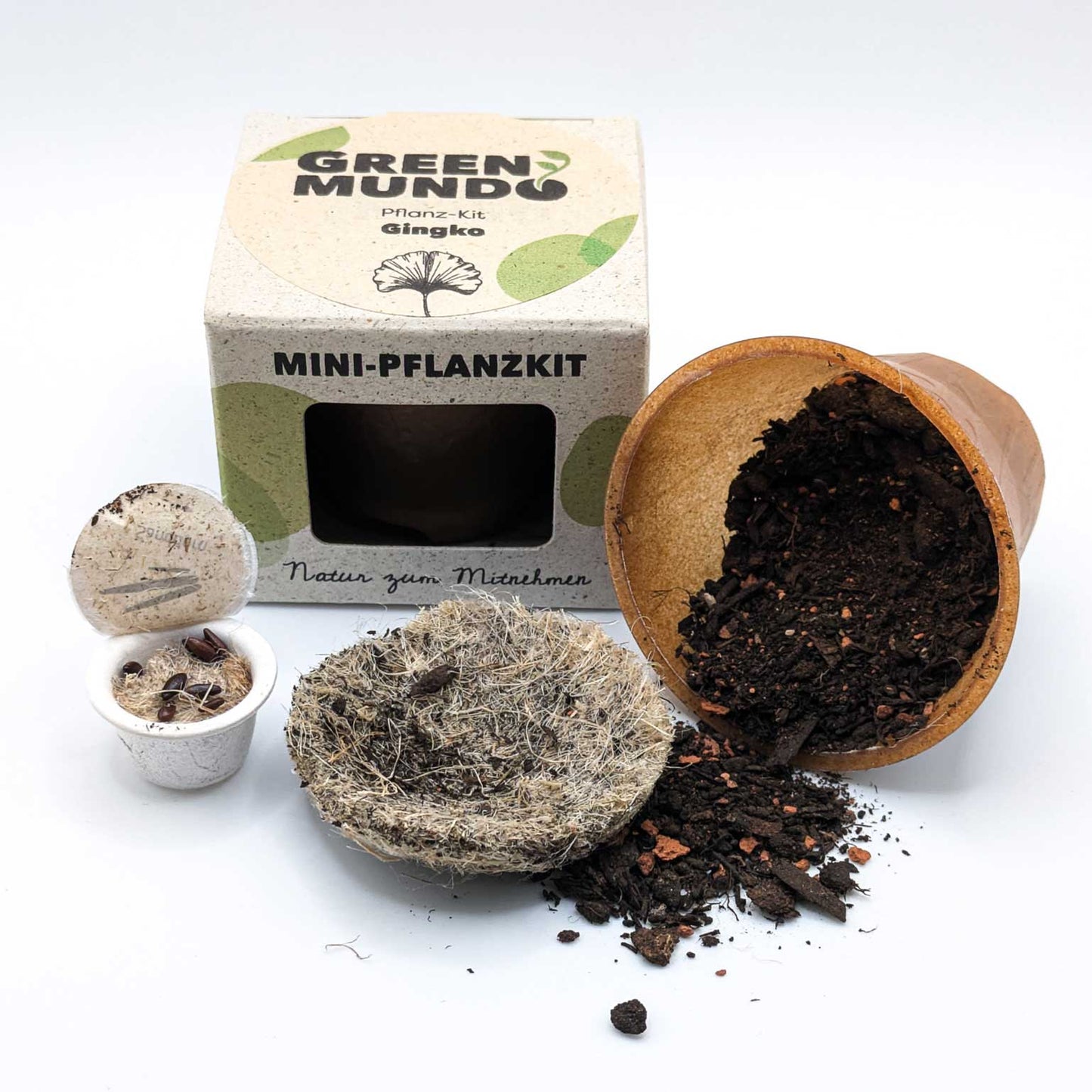 GREEN MUNDO Pflanzkit | Ginkgo – ästhetisch & anpassungsfähig