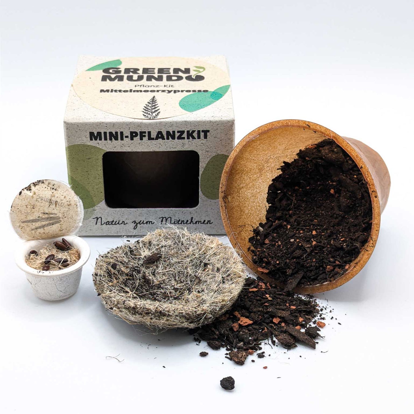 GREEN MUNDO Pfanzkit | Mittelmeerzypresse – mediterran und langlebig