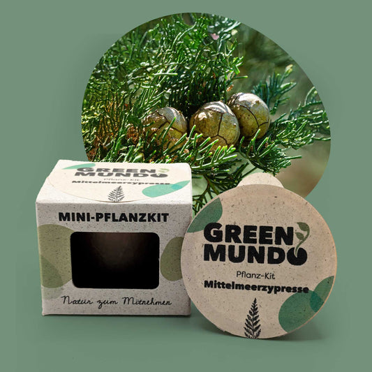 GREEN MUNDO Pfanzkit | Mittelmeerzypresse – mediterran und langlebig