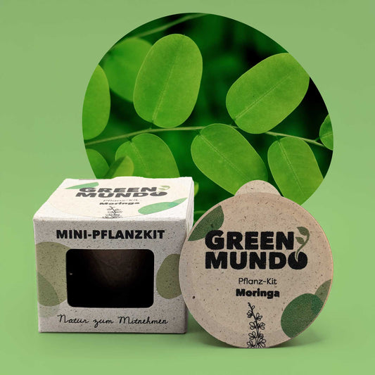 GREEN MUNDO Pflanzkit| Bio Moringa – nährstoffreich & CO₂-bindend