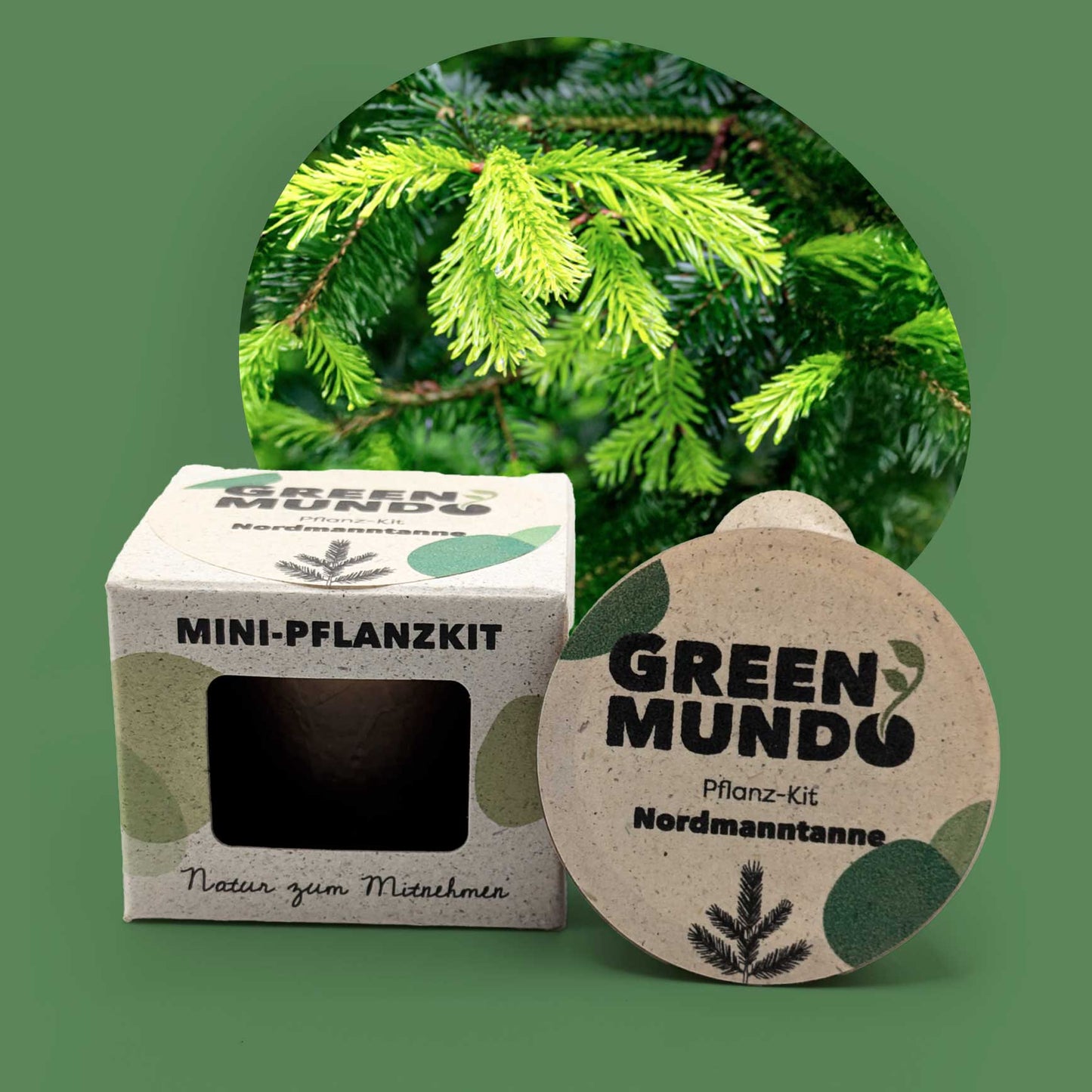 GREEN MUNDO Pflanzkit| Nordmanntanne – langlebig & pflegeleicht