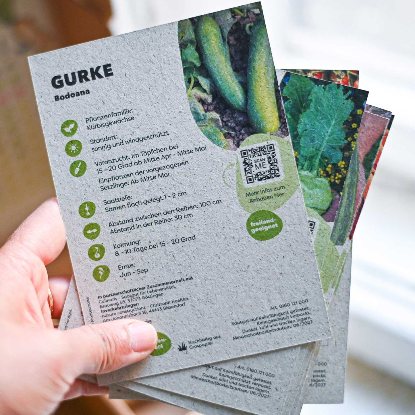 GREEN MUNDO Bio-Saatgut-Set | Easy Veggies mit natürlicher Nährstoff-Beschichtung