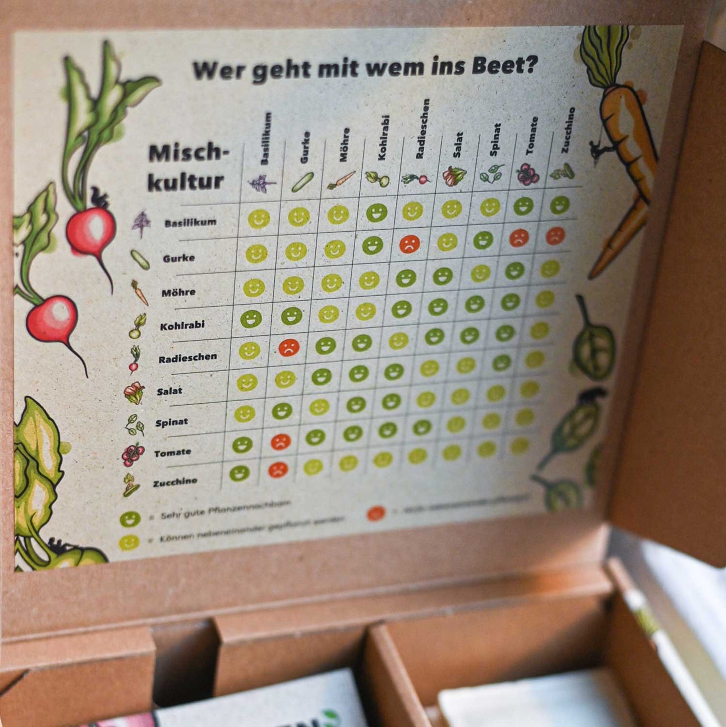 GREEN MUNDO Bio-Saatgut-Set | Easy Veggies mit natürlicher Nährstoff-Beschichtung