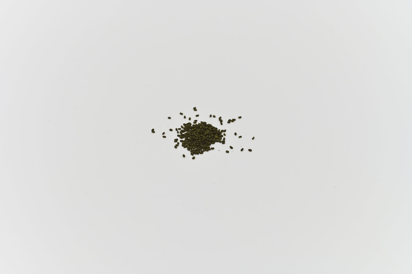 GREEN MUNDO | Bio-Basilikum 'Genovese' Saatgut - samenfest & aromatisch