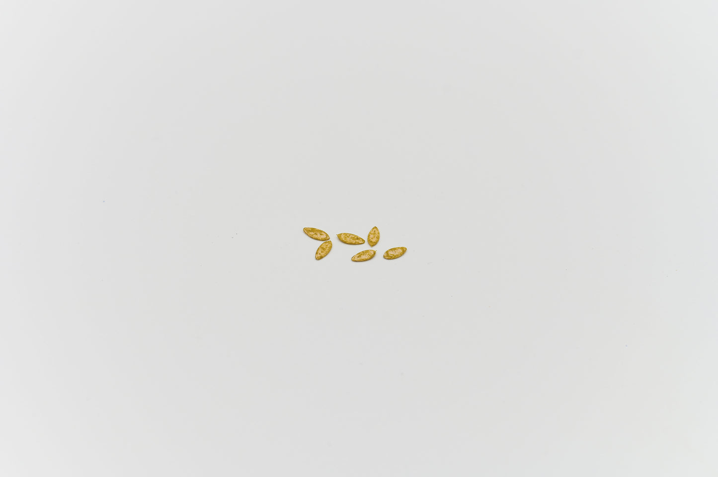 GREEN MUNDO Saatgut | Zitronengurke Lemon, Bio & Samenfest