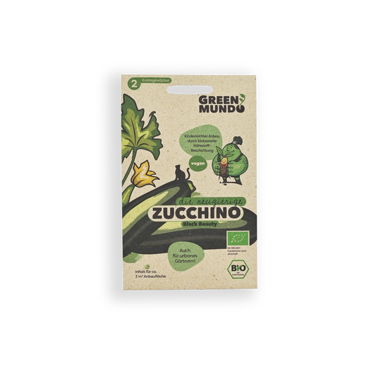 GREEN MUNDO | Zucchino 'Black Beauty' Saatgut - ökologisch & samenfest