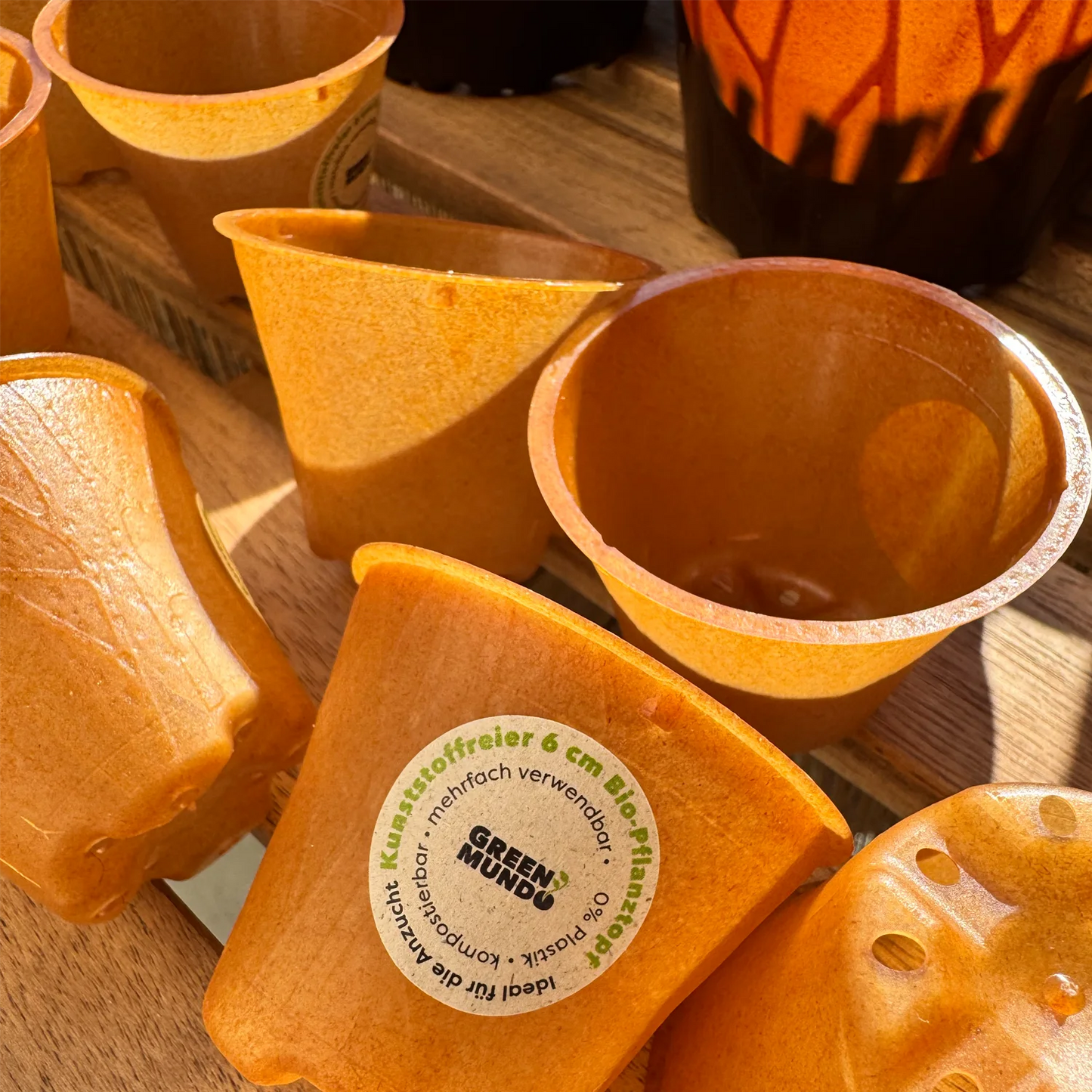 GREEN MUNDO Pflanztopf TOPFI – nachhaltig & kompostierbar