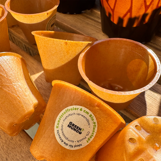 GREEN MUNDO Pflanztopf TOPFI – nachhaltig & kompostierbar