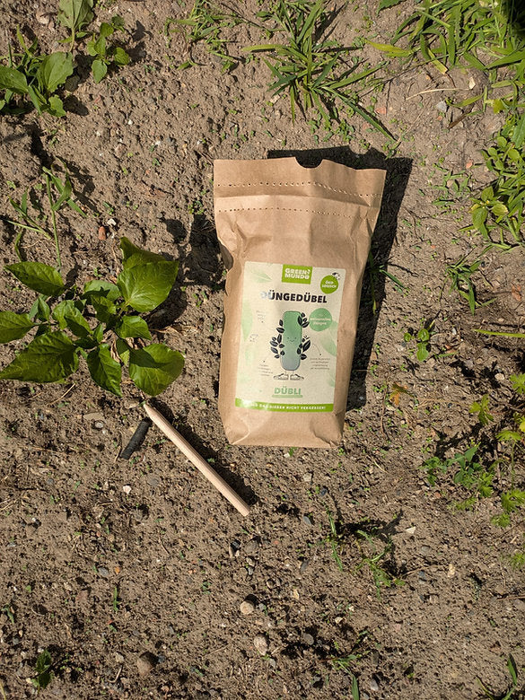 GREEN MUNDO Düngedübel | Dübli für einfaches und schnelles Nachdüngen